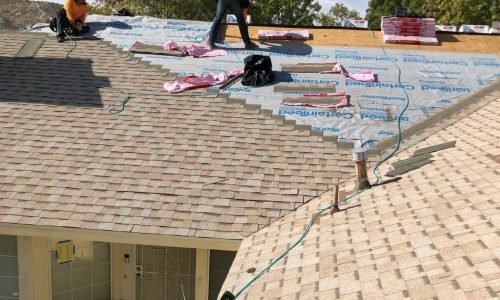 WhatsApp Image 2025-03-11 at 10.19.59 PM (1) WhatsApp Image 2025-03-11 at 10.19.59 PM (1)