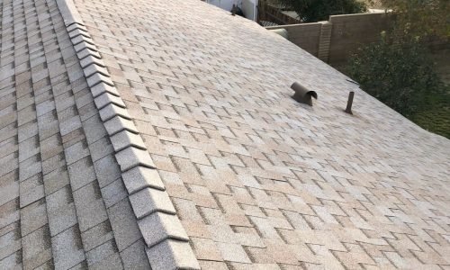 WhatsApp Image 2025-03-11 at 10.19.59 PM WhatsApp Image 2025-03-11 at 10.19.59 PM