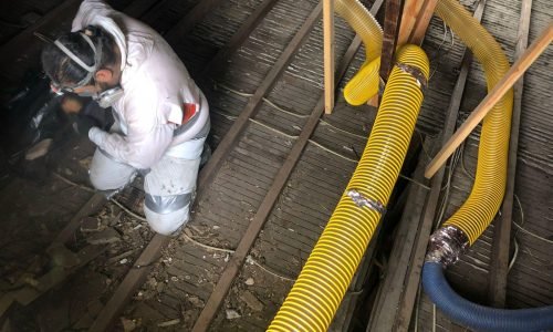 WhatsApp Image 2025-03-12 at 5.11.57 PM (6) WhatsApp Image 2025-03-12 at 5.11.57 PM (6)